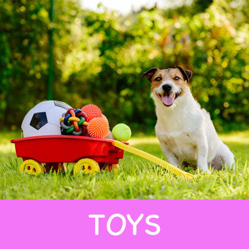 http://shopsassydogs.com/cdn/shop/collections/Toys_1200x1200.jpg?v=1646609557