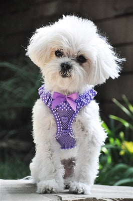 Polka Dot Ruffle American River Choke Free Harness - Sassy Dogs Boutique 