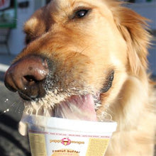 Load image into Gallery viewer, Dog Ice Cream - Shop Sassy Dogs
