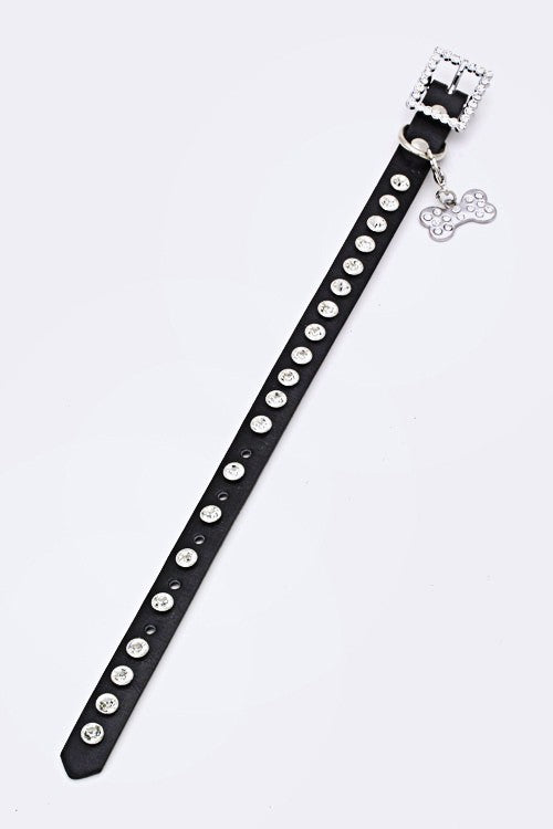 Studded Dog Collar-Multiple Colors - Sassy Dogs Boutique