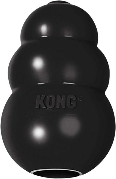 Kong Extreme - Sassy Dogs Boutique 