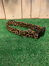 Load image into Gallery viewer, Leopard Dog Collar - Shop Sassy Dogs
