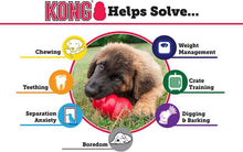 Load image into Gallery viewer, Kong Extreme - Sassy Dogs Boutique 
