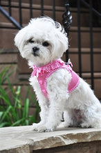 Load image into Gallery viewer, Polka Dot Ruffle American River Choke Free Harness - Sassy Dogs Boutique 
